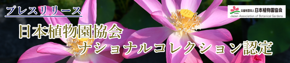 プレスリリース 日本植物園協会ナショナルコレクション認定